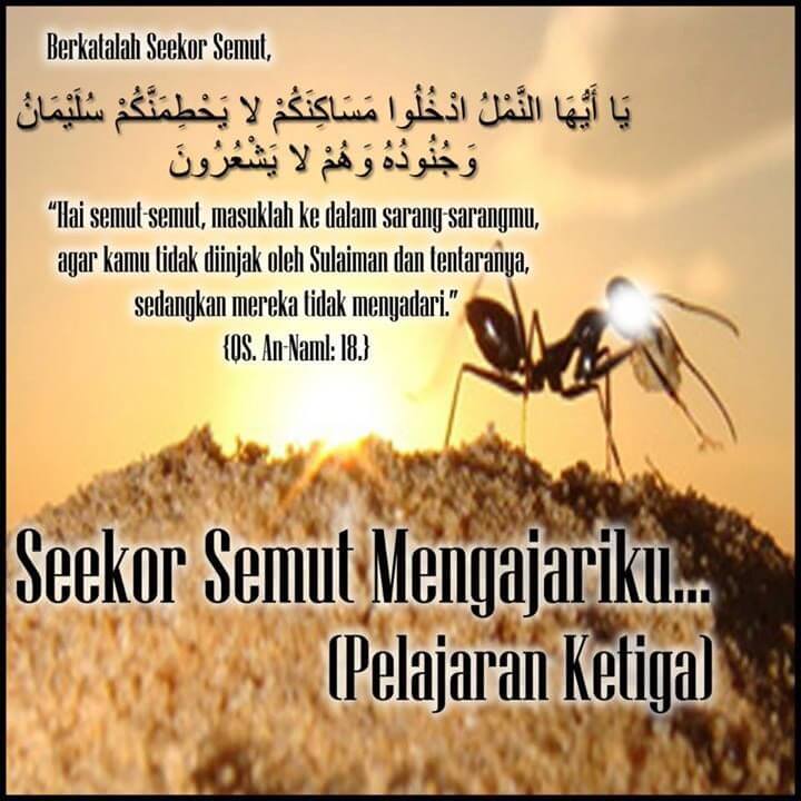 Seekor Semut Mengajariku (Pelajaran Ketiga)