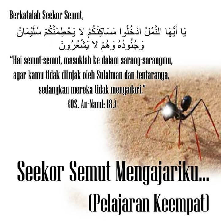 Seekor Semut Mengajariku (Pelajaran Keempat)
