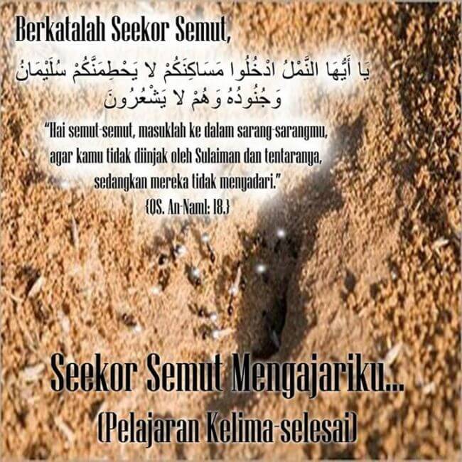 Seekor Semut Mengajariku (Pelajaran Kelima – Selesai)