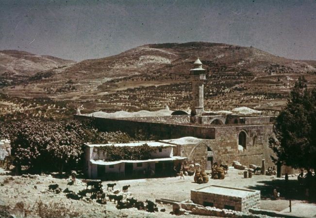 Cerita Tentang Nabi Zakaria ‘Alaihissalam